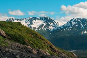 Kenai-Fjords-National-Park-Alasca-galeria80