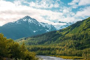 Kenai-Fjords-National-Park2-Alasca-galeria80