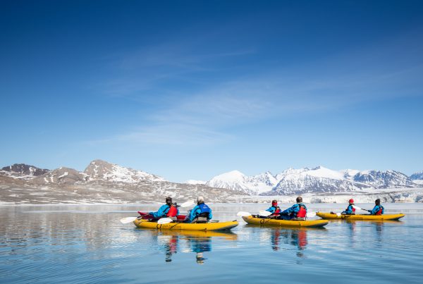 Curiosidades sobre a Groenlândia: fatos sobre a maior ilha do mundo