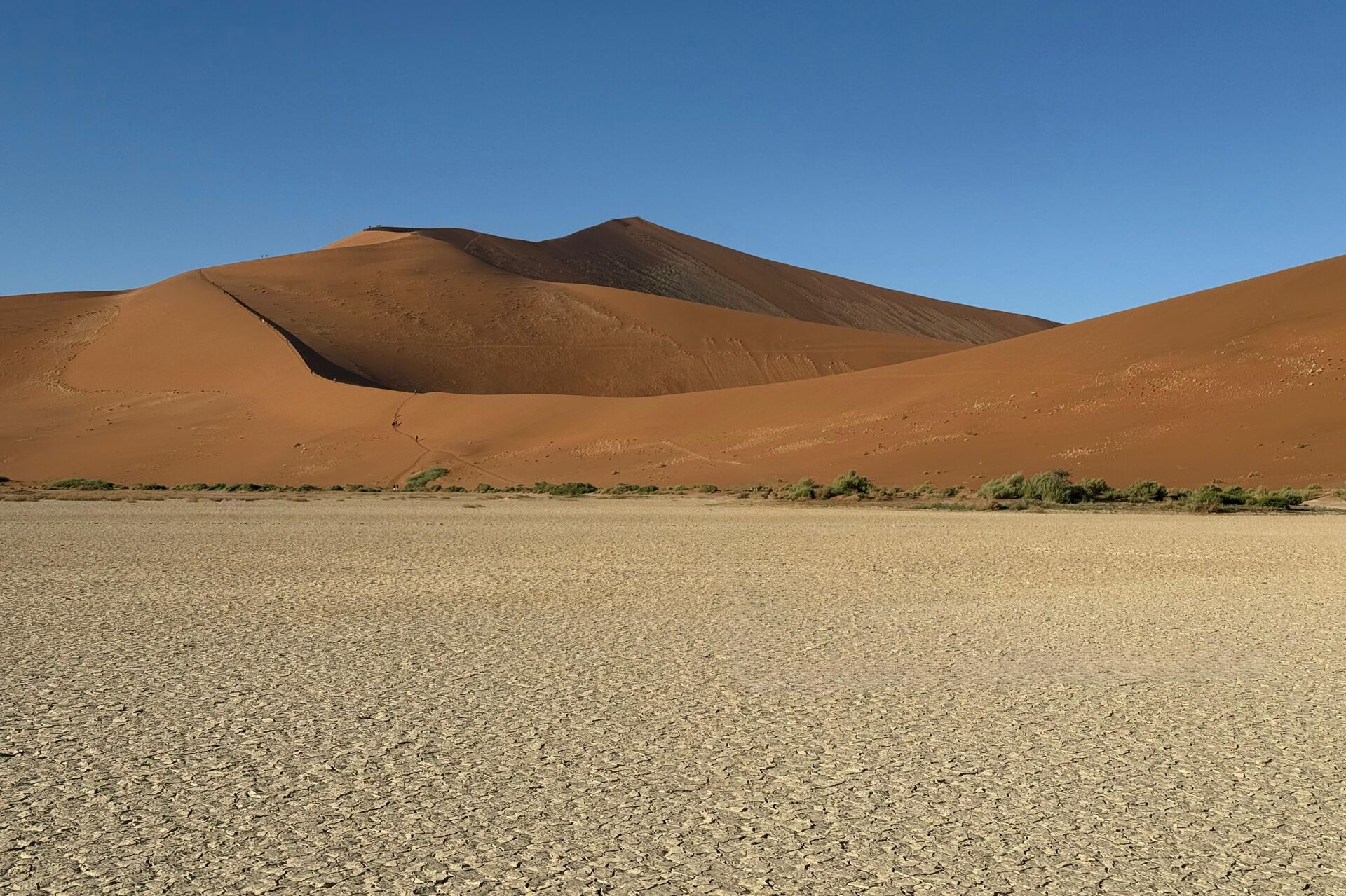 Namíbia: uma jornada entre dunas, safáris e arte rupestre