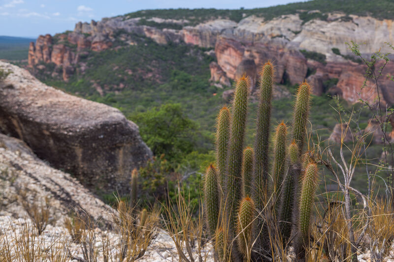 Serra da Capivara, no Piauí