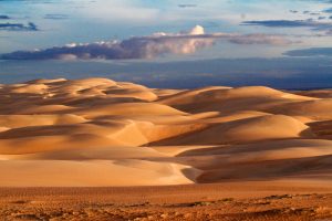 Areia Branca-Dunas do Rosado-galeria80