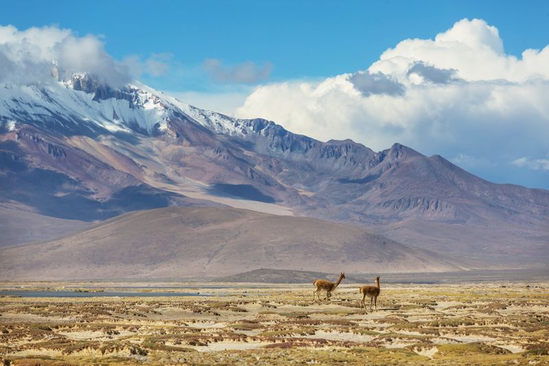 Deserto do Atacama, no Chile
