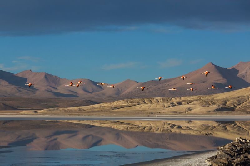 Deserto do Atacama, no Chile