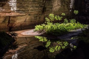 Parque-Nacional-Cavernas-do-Peruacu-5-galeria80