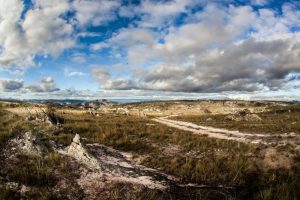 Sempre-Vivas-MG-galeria80