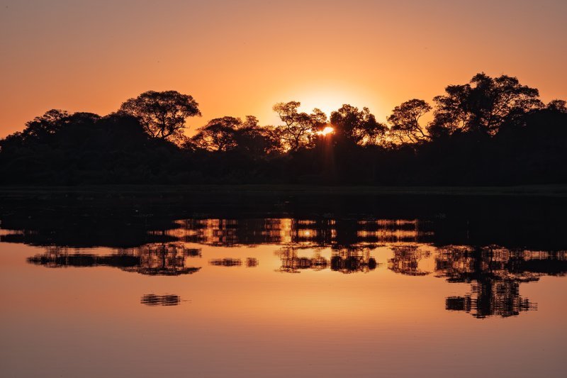 Viagem sustentável no Pantanal