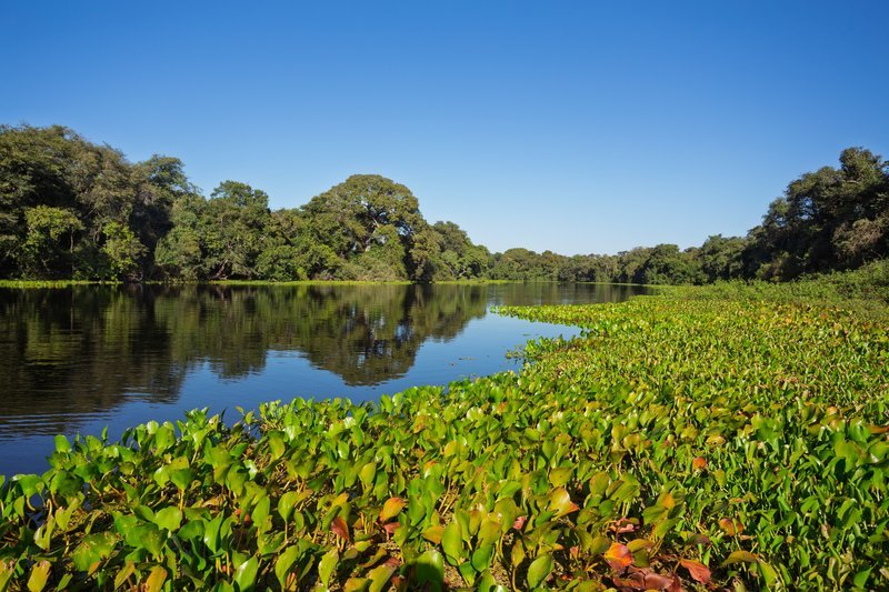 Viagem sustentável no Pantanal