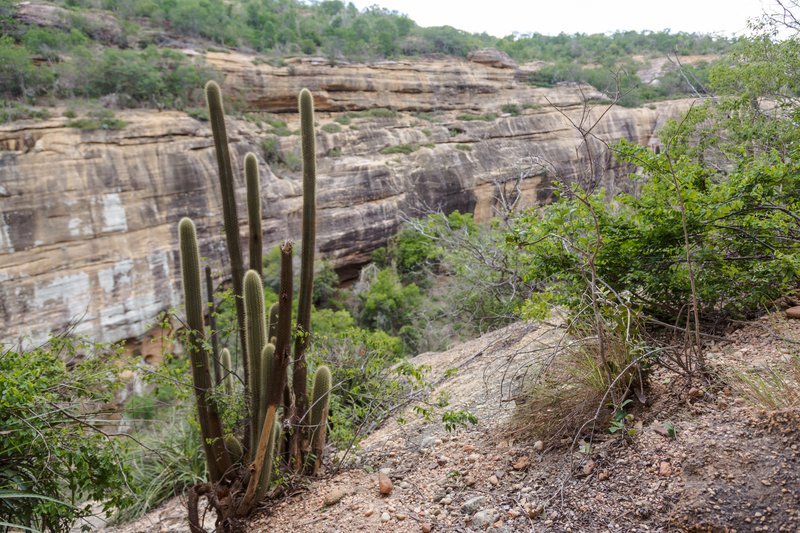 Réveillon na Serra da Capivara: guia para planejar a viagem