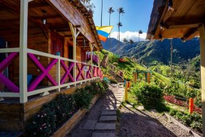 Entertainment,Center,In,Valle,Del,Cocora,Valley,With,Tall,Wax