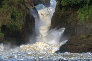 Murchison,Falls,,Murchison,Falls,National,Park,,Uganda,,East,Africa,,Africa