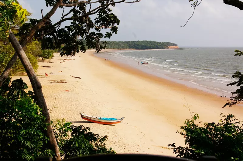 Conheça a Ilha de Marajó, a maior ilha fluvial do mundo