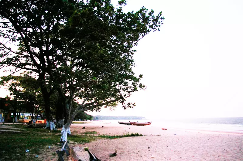 Praia na Ilha de Marajó, Pará.