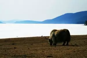 lago-khovsgol-mongolia-galeria Lago de Khovsgol na Mongólia