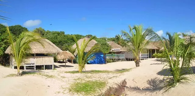 casas e coqueiros