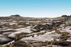Monte Roraima