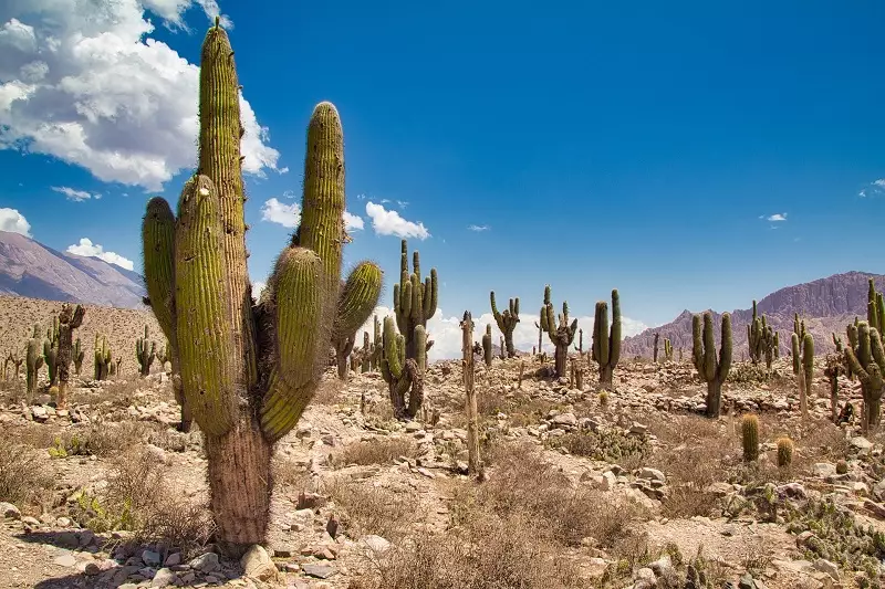 Jujuy, Argentina