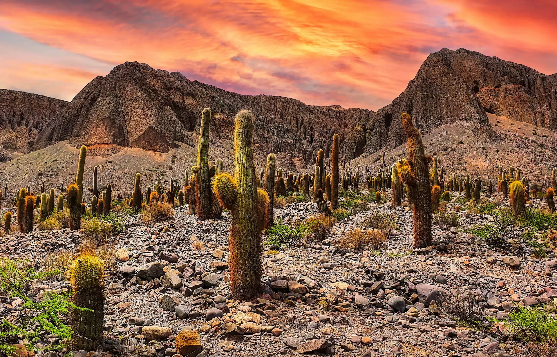 O que fazer em Salta e Jujuy: experiências culturais autênticas