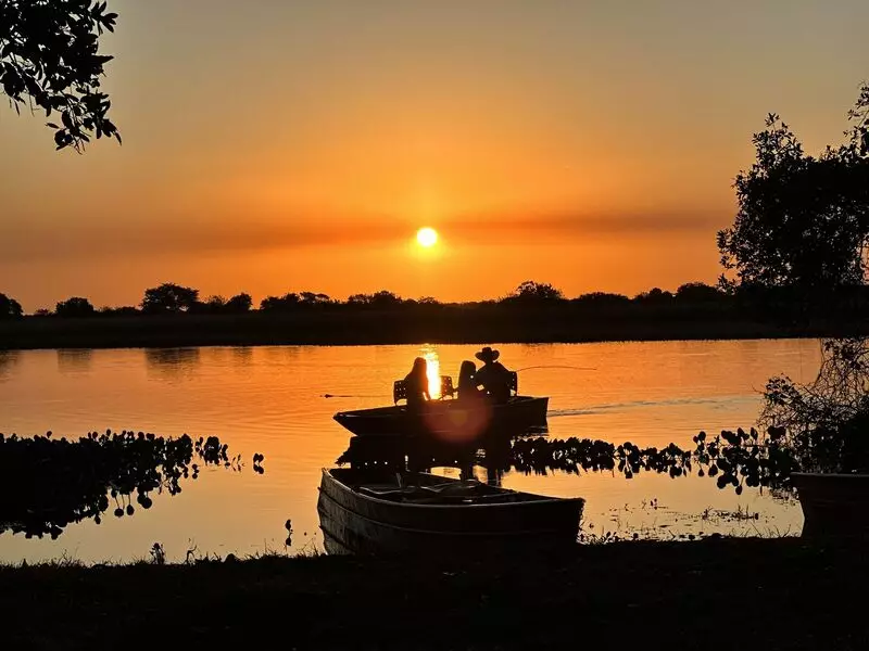 Pantanal, no Mato Grosso e Mato Grosso do Sul