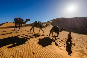 Marrakesh-Marrocos-topo