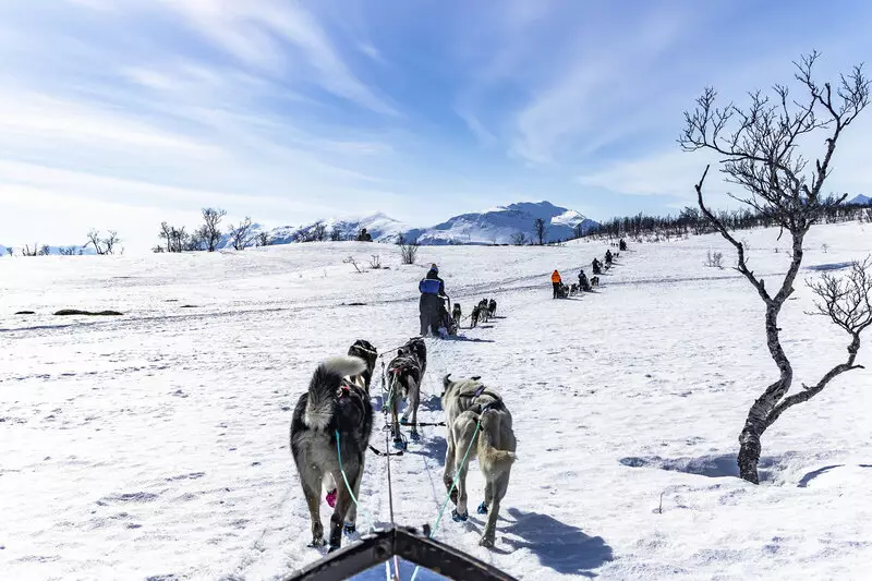 Viagem para o Ártico: como planejar uma expedição polar