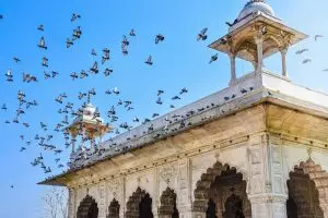 Delhi, na Índia