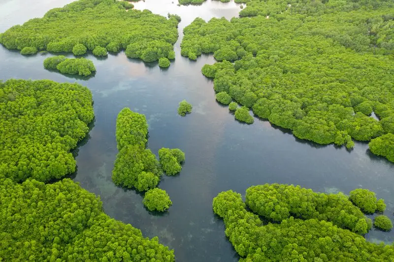 Turismo sustentável na Amazônia