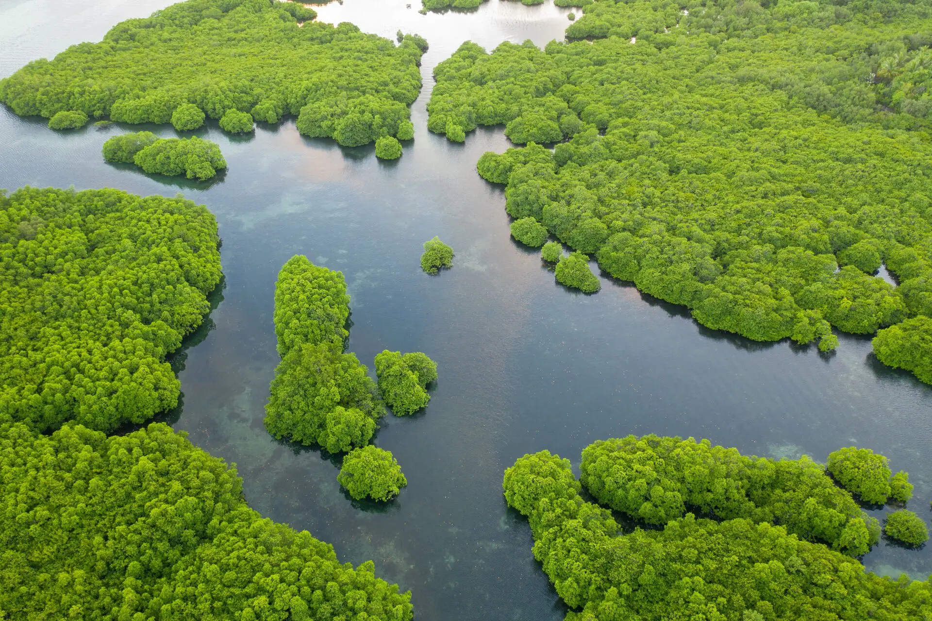 Turismo sustentável na Amazônia: vivencie a natureza em sua forma mais autêntica