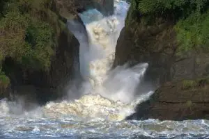 Murchison,Falls,,Murchison,Falls,National,Park,,Uganda,,East,Africa,,Africa